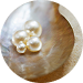 珍珠精華